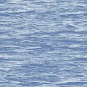 sub-image1