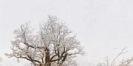 sub-image1