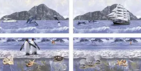 sub-image1