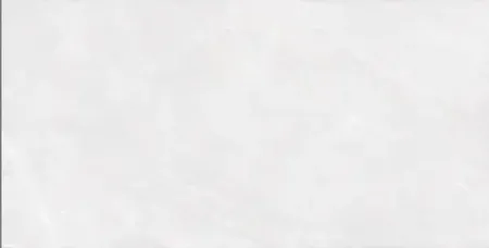 sub-image1