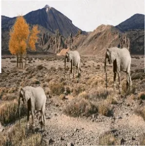 sub-image1
