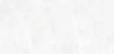 sub-image1