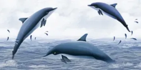 sub-image1