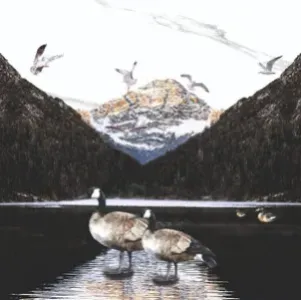 sub-image1
