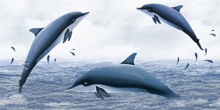 sub-image1