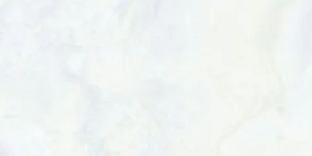 sub-image1