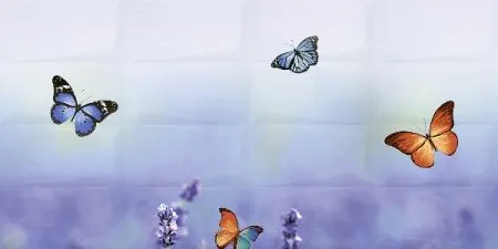 sub-image1