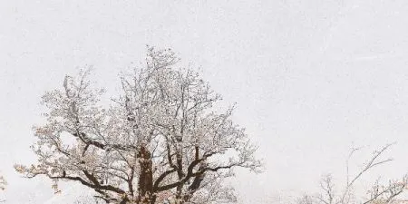 sub-image1