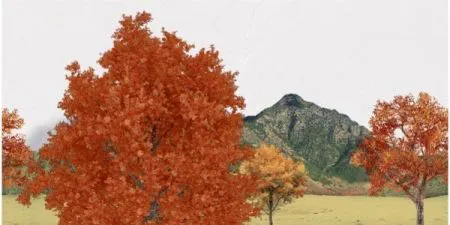sub-image1