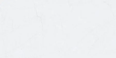 sub-image1