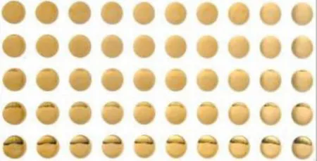 sub-image1