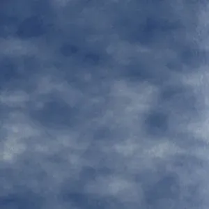 sub-image1