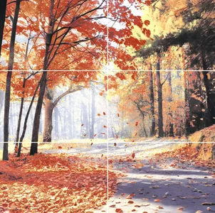 Your Image