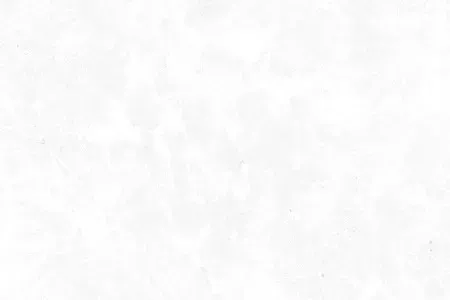 sub-image1