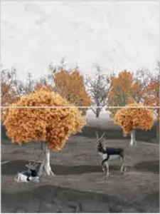 sub-image1