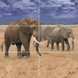 sub-image1