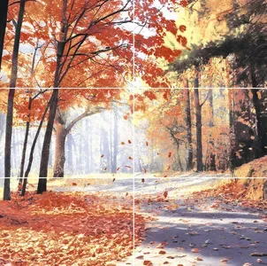 sub-image1