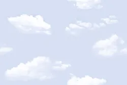 Your Image