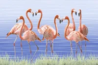 Your Image