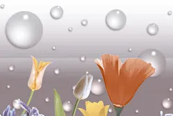 Your Image