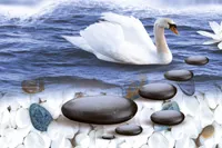 Your Image
