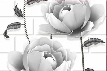 Your Image