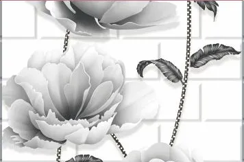 Your Image