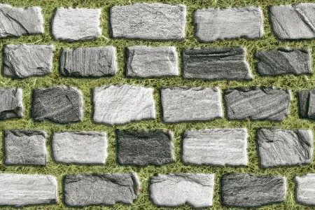 sub-image1