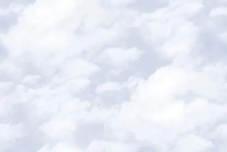 sub-image1