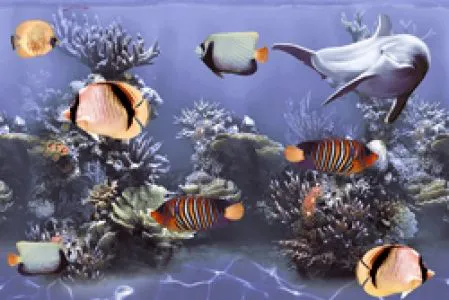 sub-image1