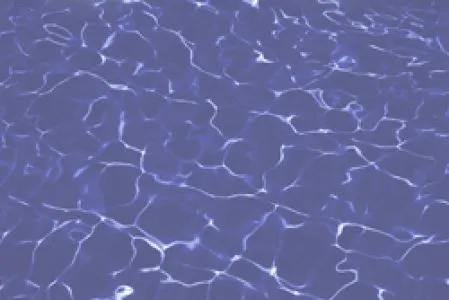 sub-image1