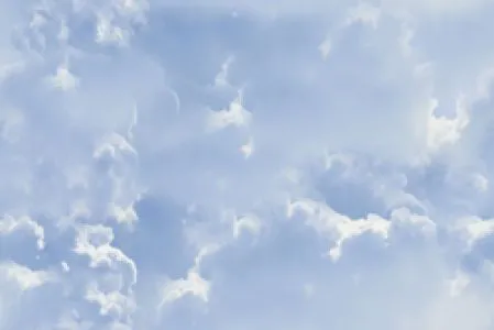 sub-image1