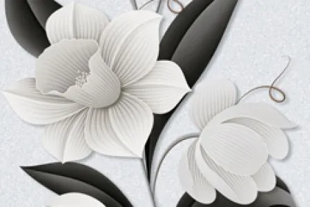 sub-image1