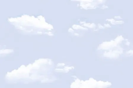 sub-image1