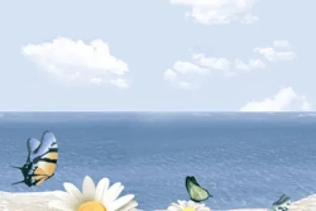 sub-image1