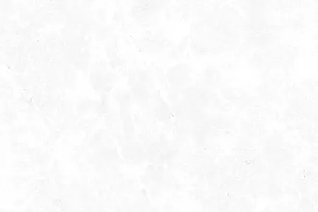 sub-image1