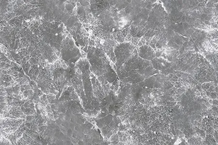 sub-image1