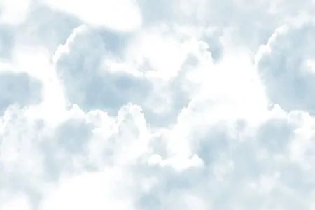 sub-image1