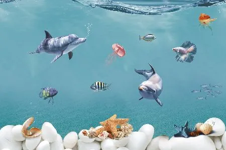 sub-image1
