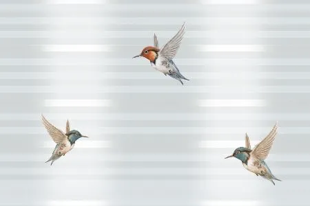 sub-image1