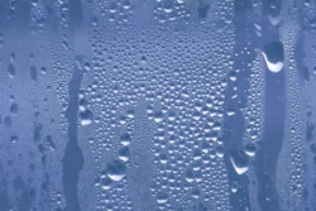sub-image1