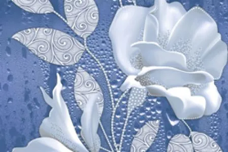 sub-image1