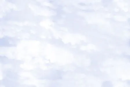 sub-image1