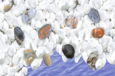 sub-image1