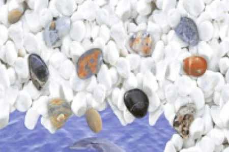 sub-image1