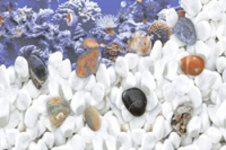 sub-image1