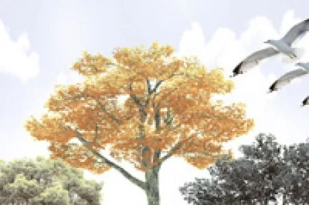 sub-image1
