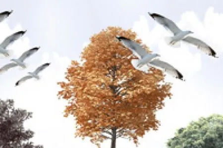 sub-image1
