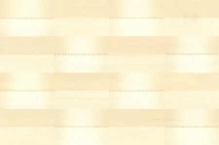 sub-image1