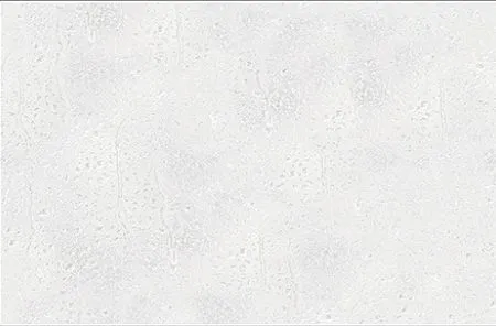 sub-image1